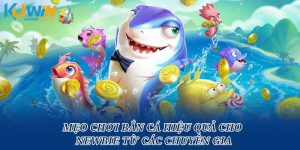Mẹo Chơi Bắn Cá Hiệu Quả Cho Newbie Từ Các Chuyên Gia