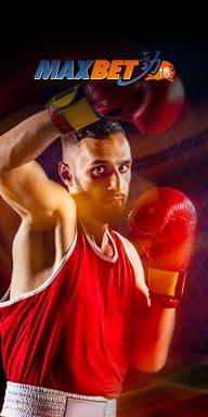 Maxbet Sports Betting Banner featuring a boxer in red gear ready to fight